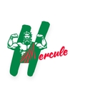 Miniature BUTEE HERCULE POUR FOURGON/VAN N° 4