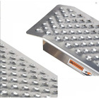 Miniature Jeu de 2 rampes alu droite perforée 2m50 - 800kg N° 8