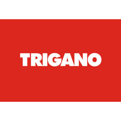 Sangle anti tempete pour auvent Austral et Atlantique -TRIGANO