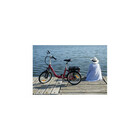 Miniature Vélo à assistance électrique Confort 20'' Rouge 10,4AH N° 6