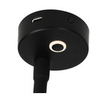 Miniature LISEUSE /SPOT FLEX AVEC FONCTION DE CHARGE USB-C - FELINO - HABA N° 1