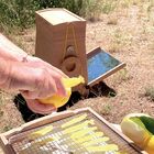 Miniature Séchoir solaire - OMY S - SOLAR BROTHER N° 7