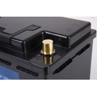 Miniature Batterie Lithium LIFEPO4 100 AH - 1280 WH - CARBEST - N° 1