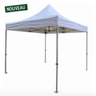 Miniature BARNUM Stand plume - TRIGANO N° 0